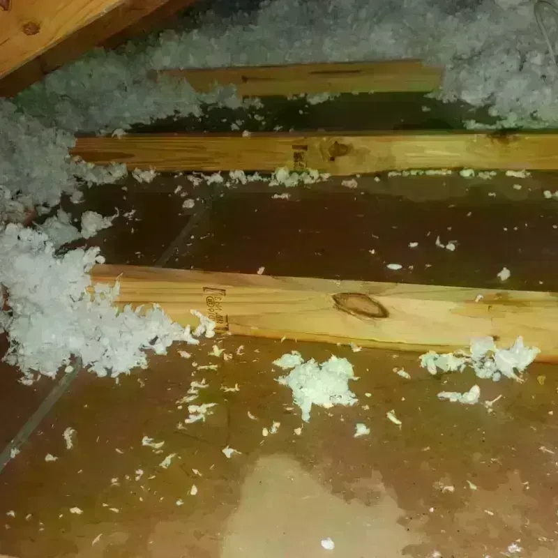 Attic Water Damage in Tea, SD