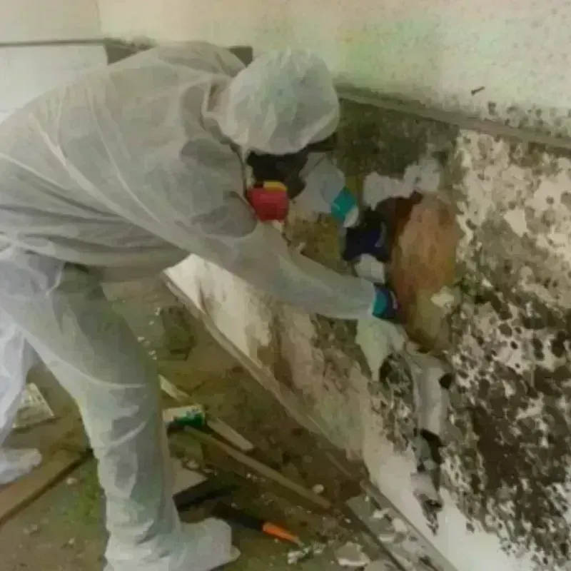 Mold Remediation and Removal in Tea, SD